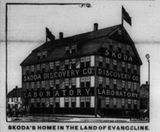 Skoda in all its glory